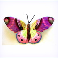 Deco butterfly