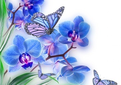 Blooms and wings in blue