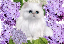 KITTEN WITH LILACS