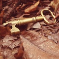 key to Dreams & Forests