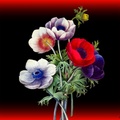 FLOWERS WITH RED BOARDER