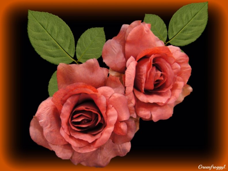 two_roses.jpg
