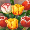 Spring tulips_detail