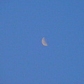 blue sky moon