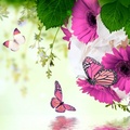Flower and butterfly
