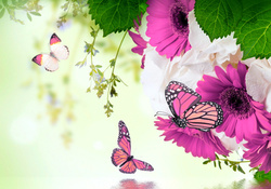 Flower and butterfly