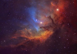 Tullip nebula