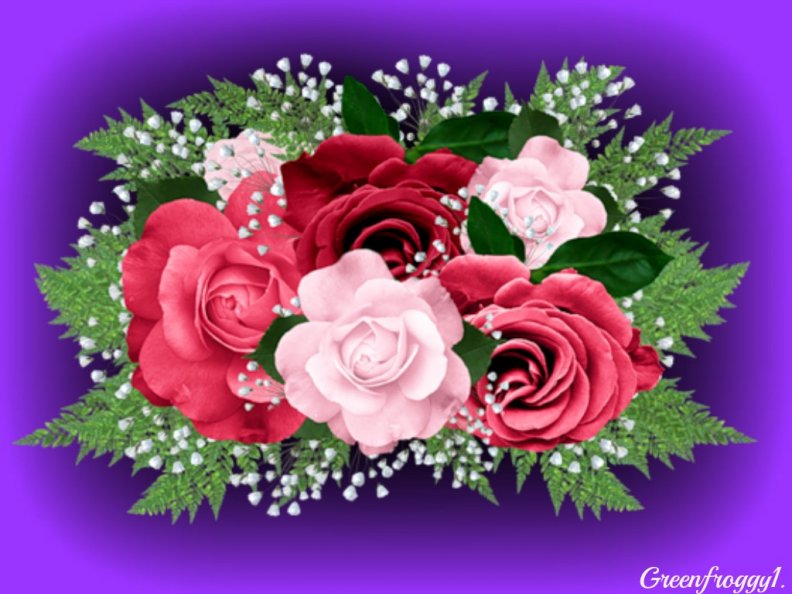 roses_on_purple.jpg