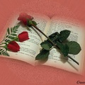 ROSES ON BOOK