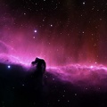 horse head nebula