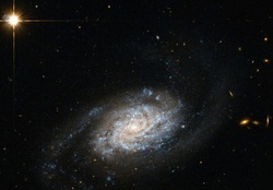NGC 3455