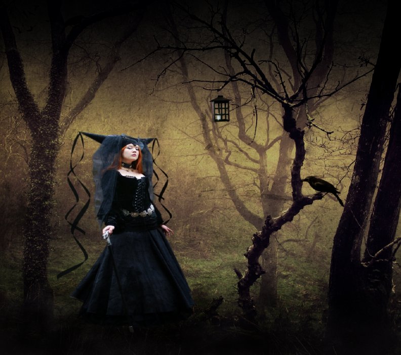 Witch in the Woods by Taylor Ann Bunker