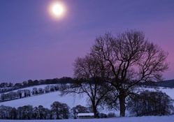 a hazy moon over winter landscape