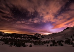 spectacular night sky in winter