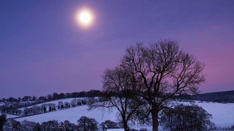 beautiful_moon_in_winter.jpg