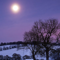 beautiful moon in winter