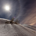 magnificent moon halo in winter