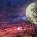 huge moon in red twilight
