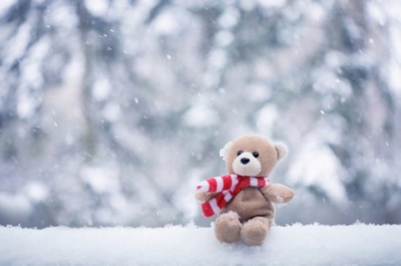 winter_teddy.jpg