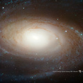 Outer Galaxy
