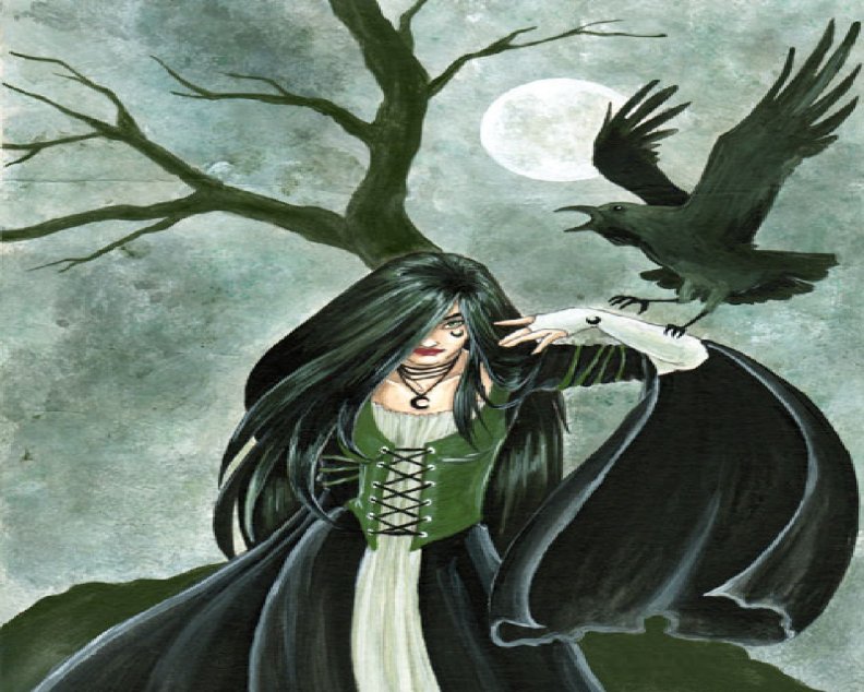 Witch And Crow