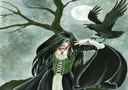 Witch And Crow