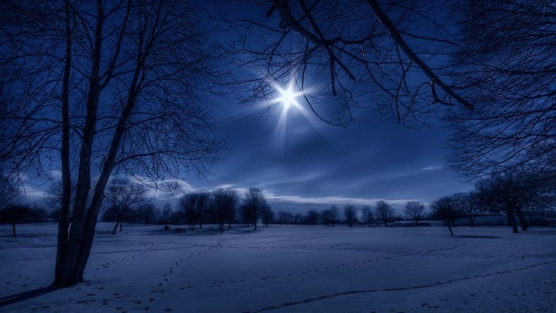 moonlight_over_meadow_in_winter.jpg
