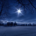 moonlight over meadow in winter