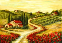 Tuscan poppies