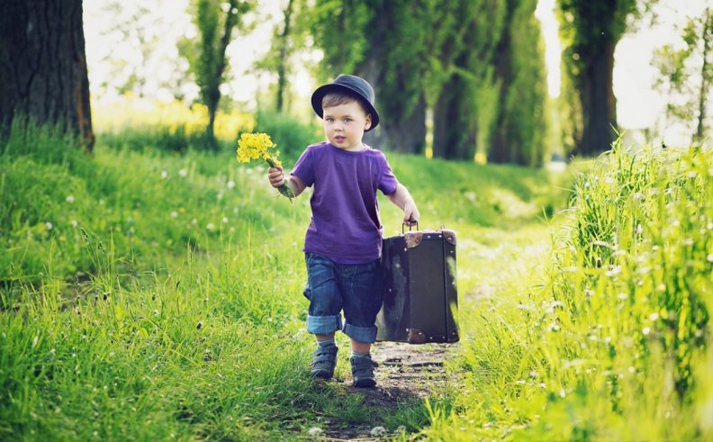 Young Traveller