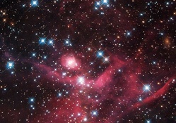 Young Stellar Cluster