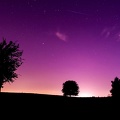 starry purple sunset
