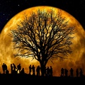 Tree Party at the Full Moon!