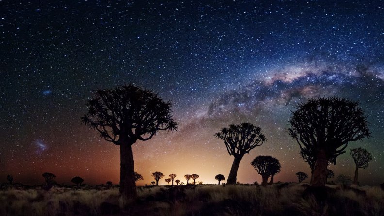 spectacular_starry_sly_over_africa.jpg
