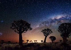 spectacular starry sly over africa