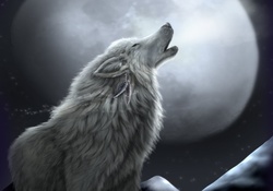 Werewolf In The Moonlight