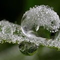 Frozen  droplet