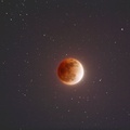 The Blood Moon in the Night Sky