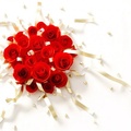Creative red flowers