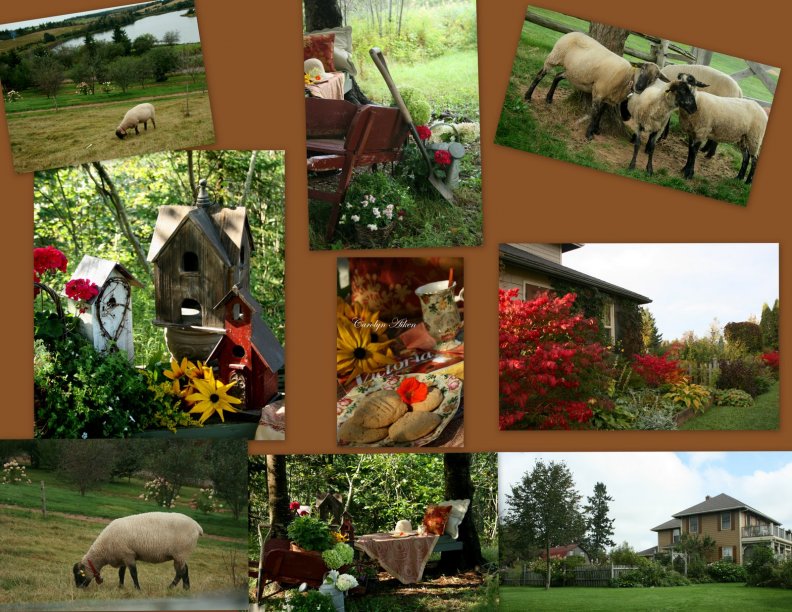 collages_country_life.jpg