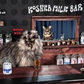 Koshka milk bar