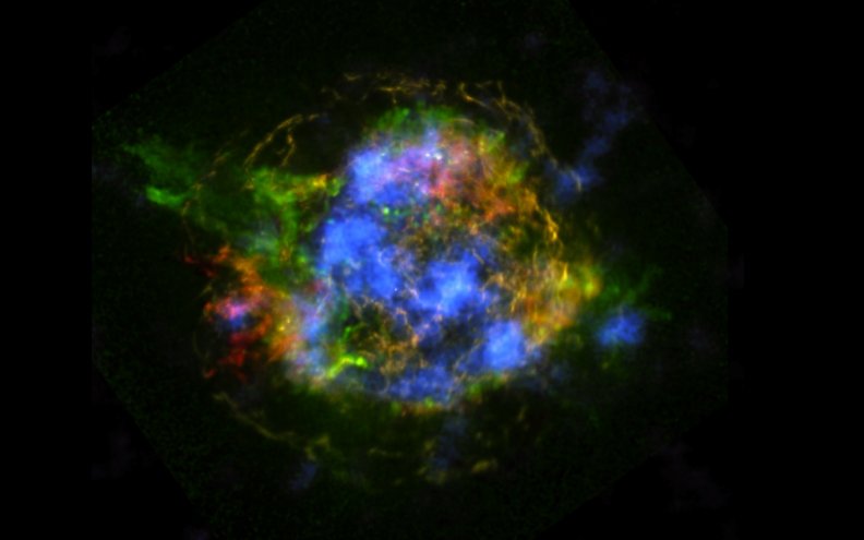 Radioactive Supernova Remnant