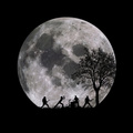 Band in a Moon