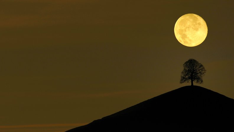 full_moon_silhouette.jpg
