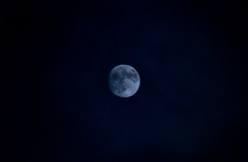 blue_moon.jpg