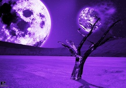 A World Of Purple Moons