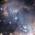 Nebula Universe