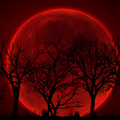 Bloody Red Moon
