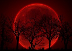 Bloody Red Moon