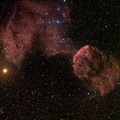 Elusive Jellyfish Nebula IC443